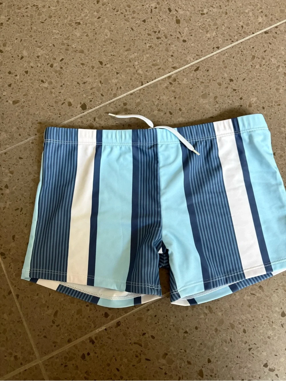Easejuicy Men’s  Blue Striped Swim Shorts